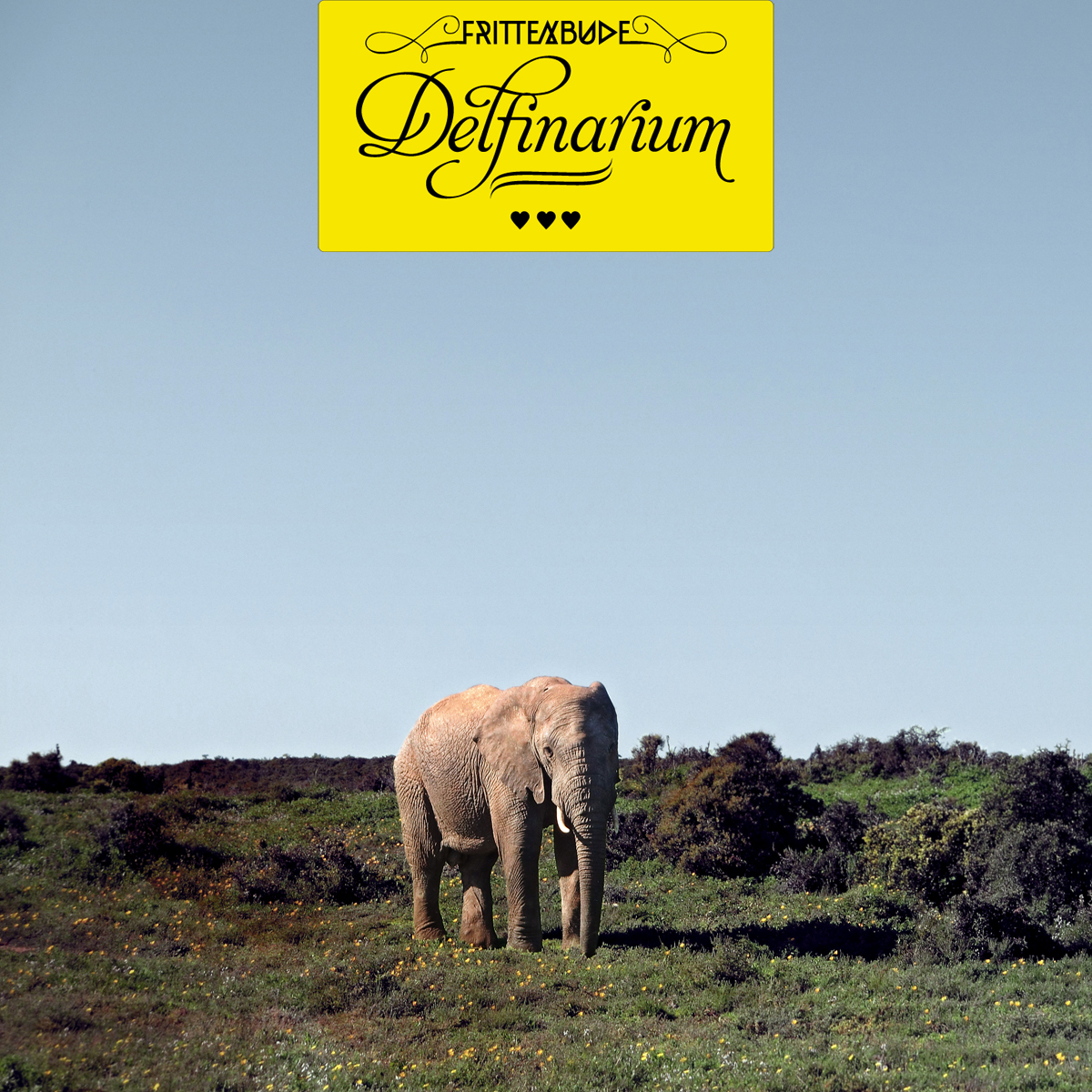 FRITTENBUDE: NEUE DATES IM HERBST!