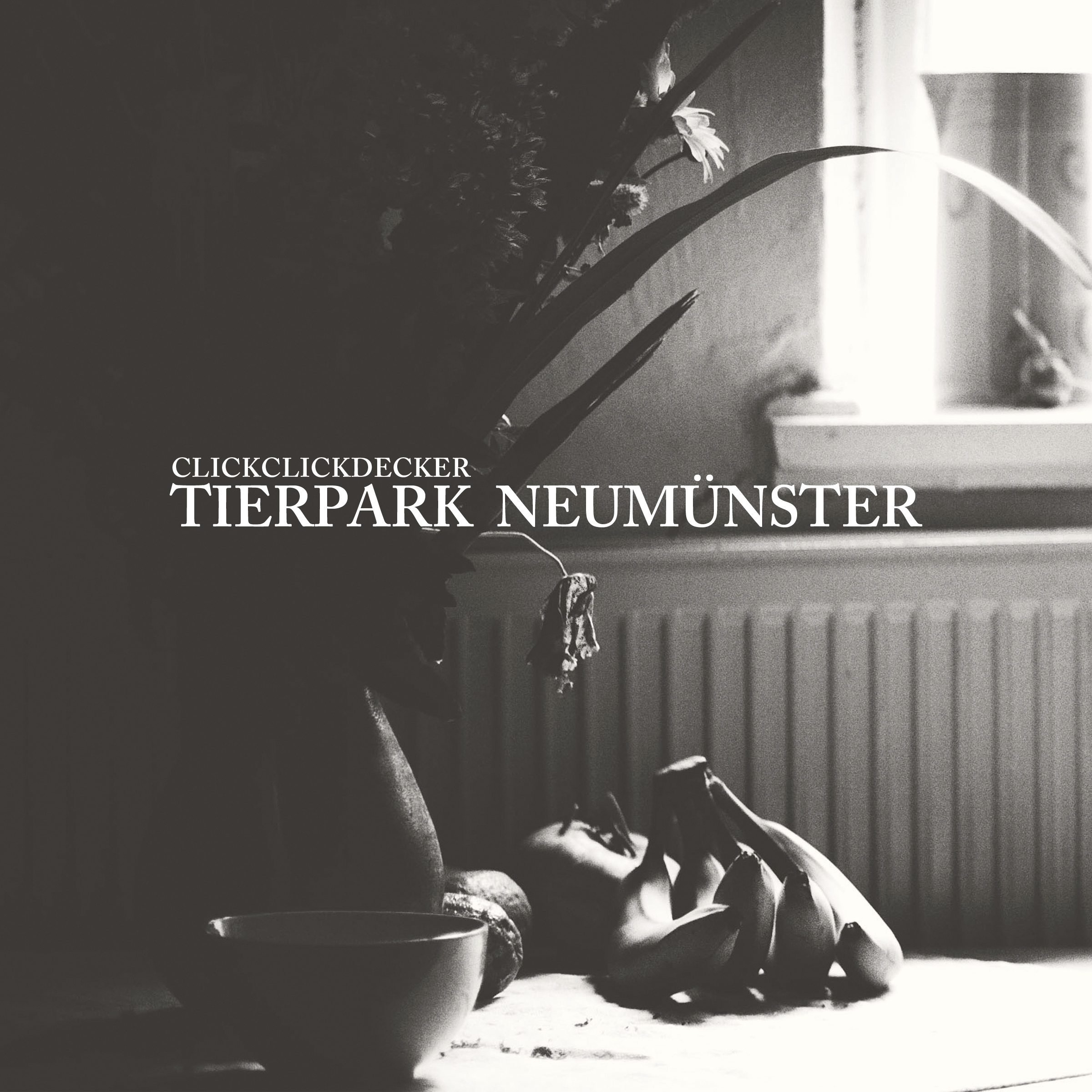 CLICKCLICKDECKER SINGLE - TIERPARK NEUM&Uuml;NSTER