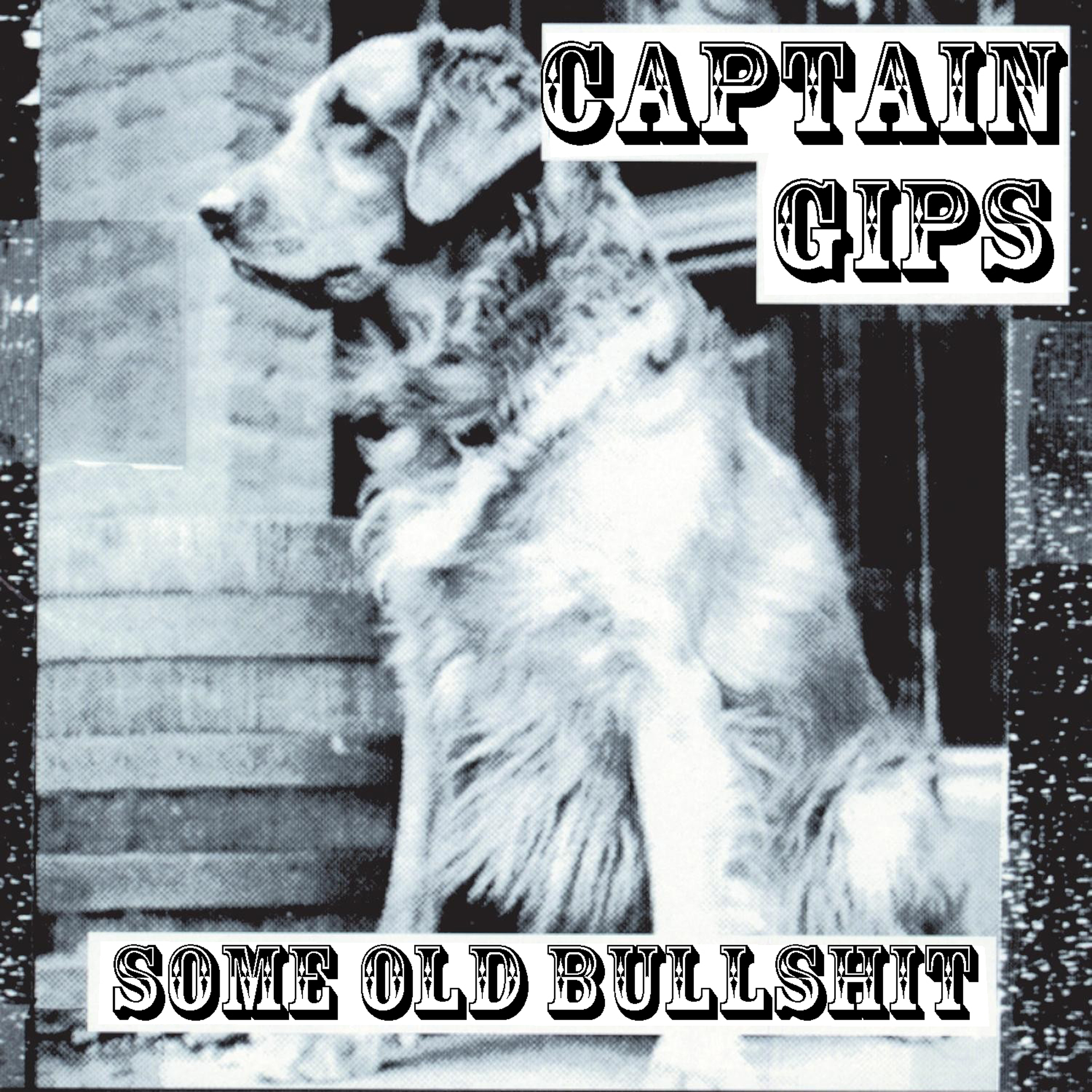 CAPTAIN GIPS HAT "SOME OLD BULLSHIT" F&Uuml;R EUCH