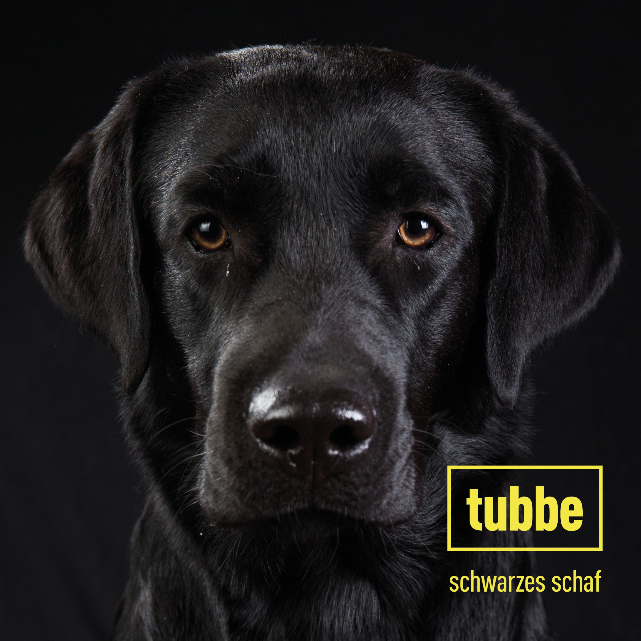 Tubbe - Schwarzes Schaf