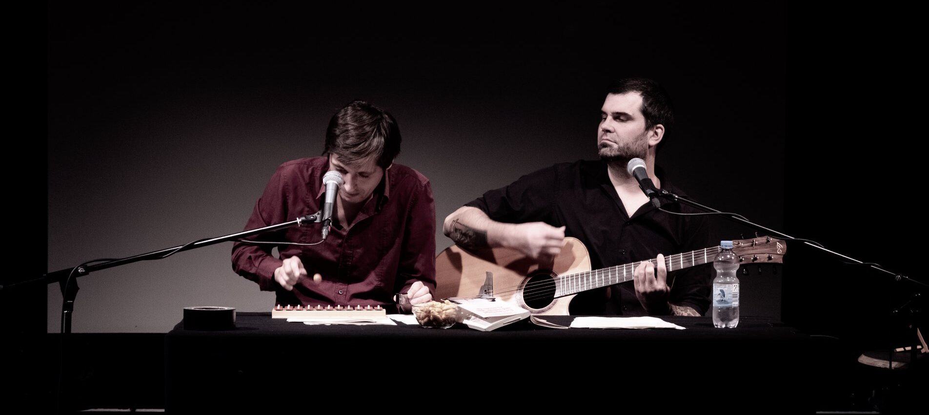 Ferdinand F&uuml;hrer & Roland van Oystern mit neuer Single + Bonustrack "Morphium am Steuer"