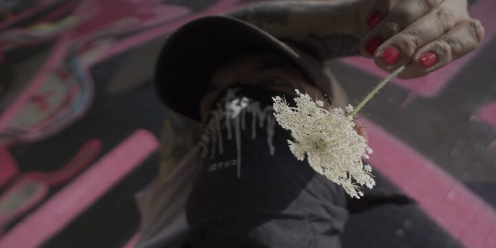 "Auffressen" von Vandalismus