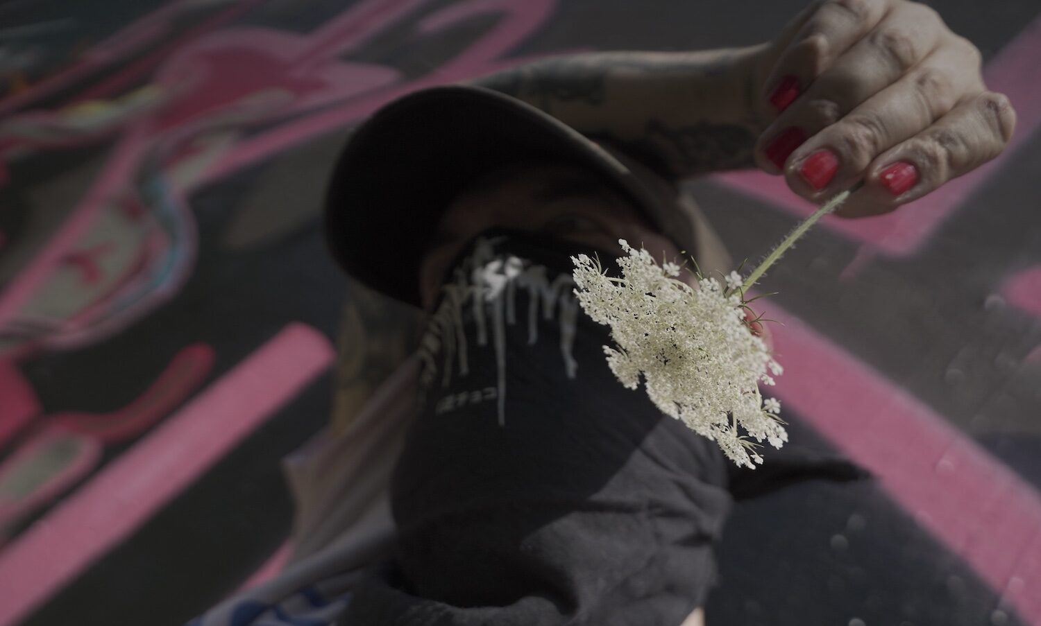 "Auffressen" von Vandalismus